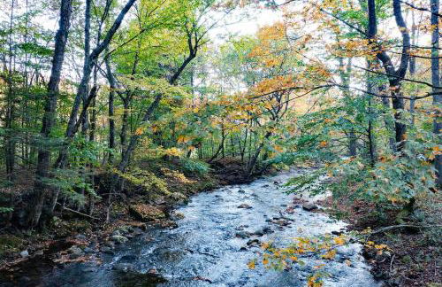 LaValleyEstates - Foto 66