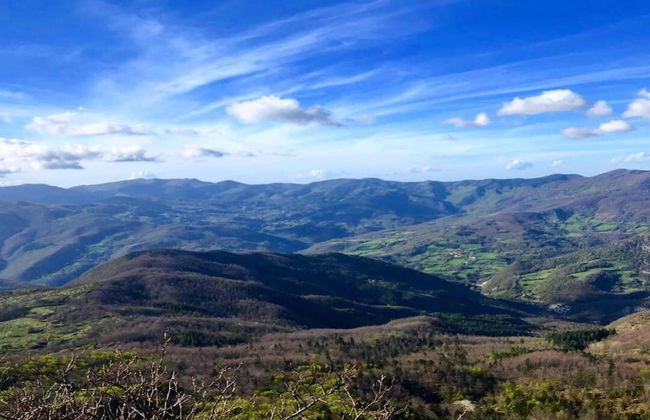 Welcoming Mobile Home in Toscana With Garden - Photo 39