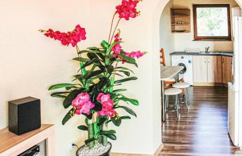 Gorgeous Home In Nowe Warpno With Wifi - Foto 11