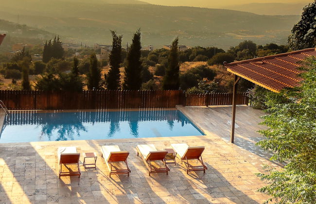 Villa Naya Branch 6 Saltus - Photo 7