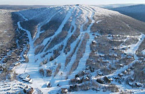Seasonal Bliss Ski-Hike-Relax - Photo 49