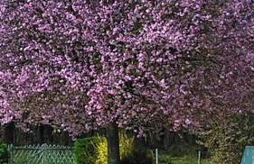 Calme et sérénité au gîte des hortensias - Foto 19