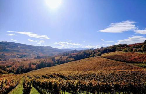 Casa in campagna oltrepo' pavese - Foto 36