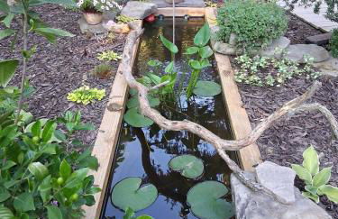 Black Top Retreat - Photo 10