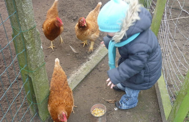 Family Home With Garden - Photo 11