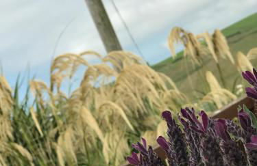 Lodge Cabin with Fabulous Views - Farm Holiday - Foto 35