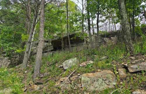 Lula Lake Cabin - Foto 7