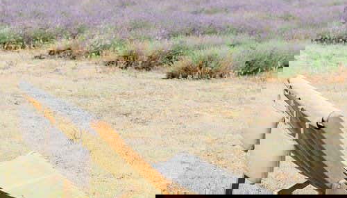 Billet pour un champ de lavande - Photo 3