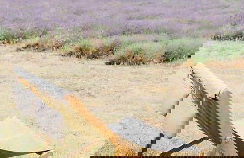 Entrance to Lavender Fields - Photo 4