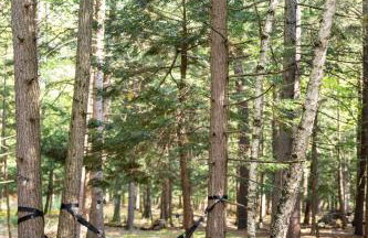 Isla Fern - Modern Cabin Retreat at Sleeping Bear Dunes - Foto 37