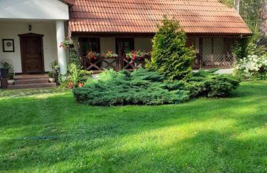 Villa Stare Osieczno - Foto 52