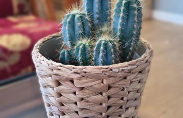 Apart Martínez Rosalía - Foto 31