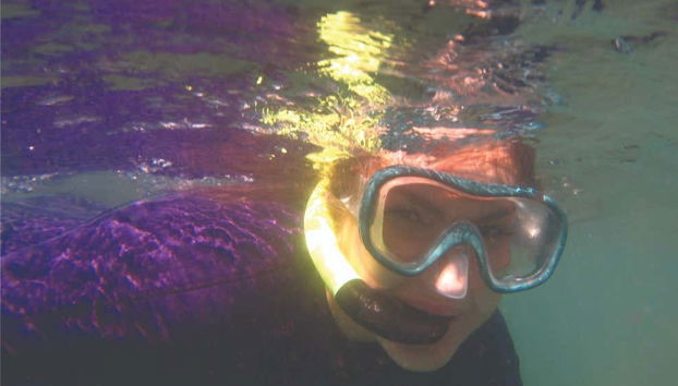 Tour delle spiagge di Ilhabela in 4x4 + Immersioni o snorkeling - Foto 5