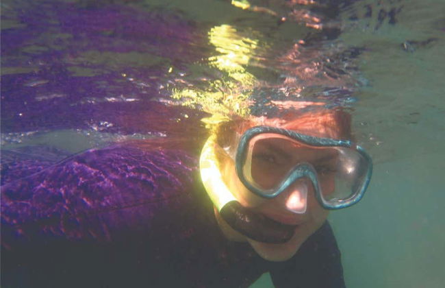 Tour de 4x4 e mergulho em Ilhabela - Foto 5