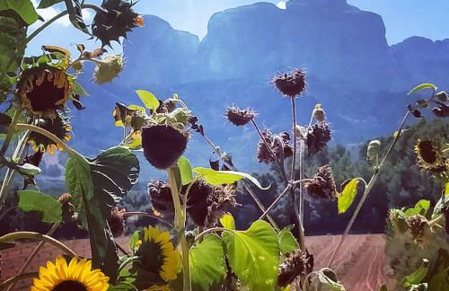 Les Valletes - Foto 47