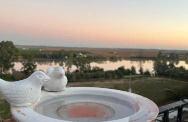 ESTUDIO LAS PALMILLAS - Foto 12