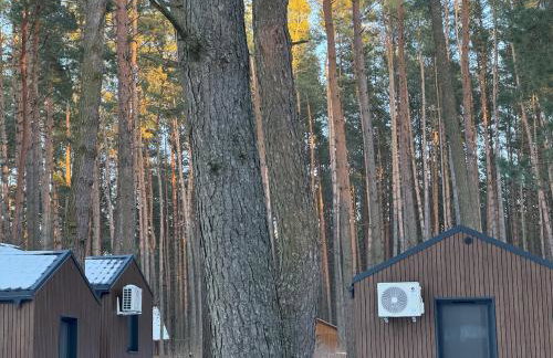Domki nad rzeką Narew - Foto 17
