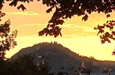 Zimmer Hohbuch mit Achalmblick - Foto 15