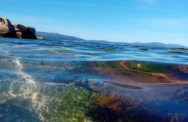 A PINTEGA DAS DUNAS - Foto 47