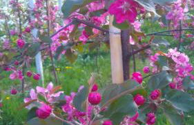 Agritur Leita - Foto 41