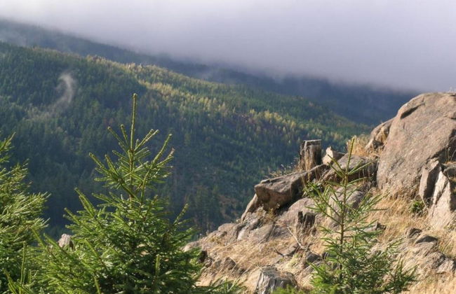 Apartment in Harz With Terrace and Fireplace - Photo 23