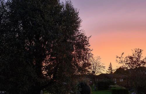 Chalet Jonquille 1 - Foto 12