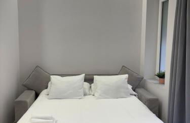 Centric Loft near Arts & Science - Photo 10