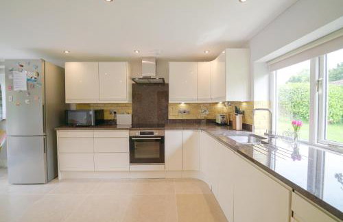 The Quackery - Foto 57