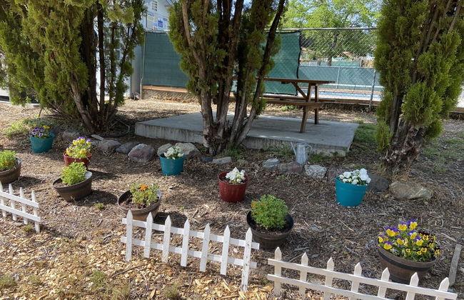 Clearlake Cabins - Foto 25