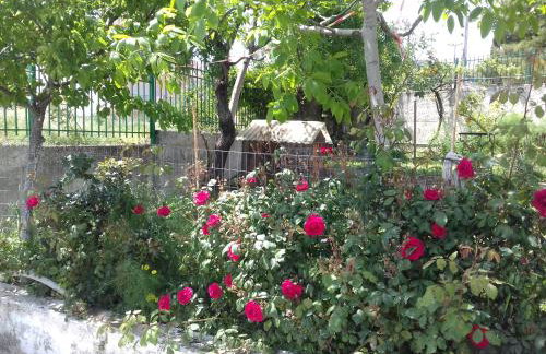 Room near the Airport - Foto 33