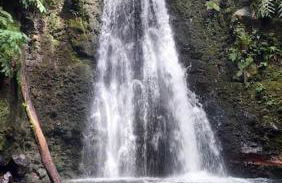 Villa de Bruma Faial da Terra - Photo 23