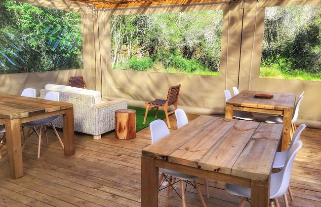 Forest Edge - Foto 69