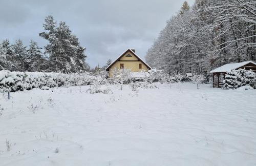 Green Zone - Foto 29