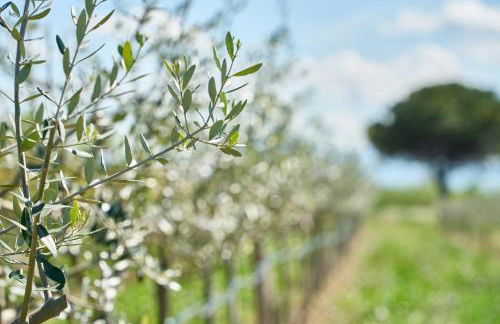 Agriturismo Borgonuovo - Photo 37