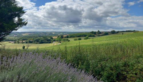 Les Gîtes de La Treille - Foto 4