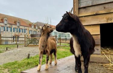 Eco-Domaine La Fontaine - RESIDENCE-SPA - 300 m Plage de la Fontaine aux Bretons - Foto 77