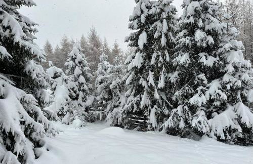 Domek na Polance - Foto 19