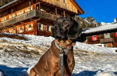 Casa Bagatin - Photo 31