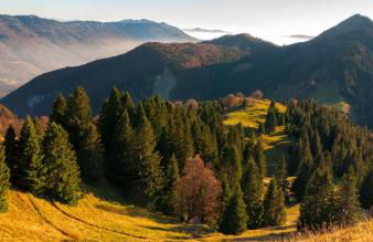 Appartement 3 chambres au cœur du Jura, idéal famille - Foto 27
