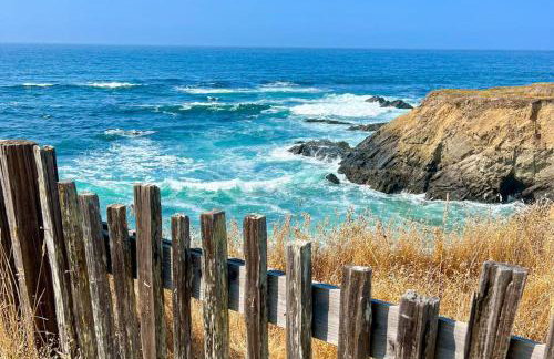 Wild Meadow - Photo 17