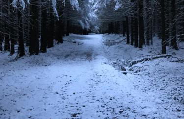 Gorgeous boutique off-grid cottage near Peebles - Foto 9