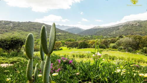 Agriturismo Bed and Breakfast Tanca Taroni - Foto 3