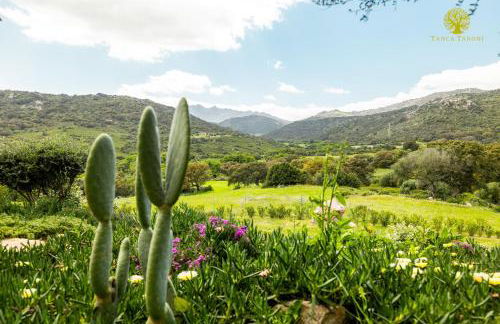 Agriturismo Bed and Breakfast Tanca Taroni - Foto 3