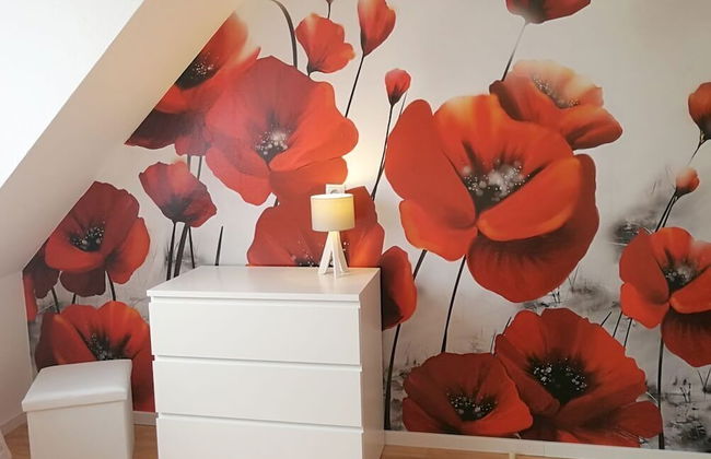 Apartmenthaus Abendsonne - Photo 15