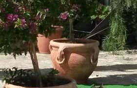 Agriturismo Capuano - Foto 35