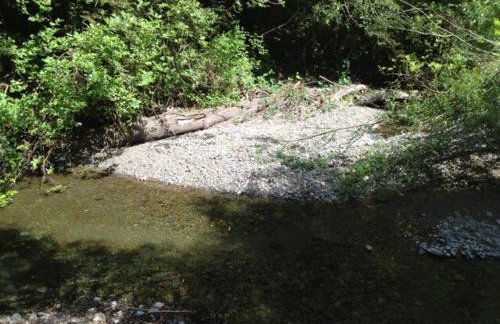 Sweet Creek - Photo 23