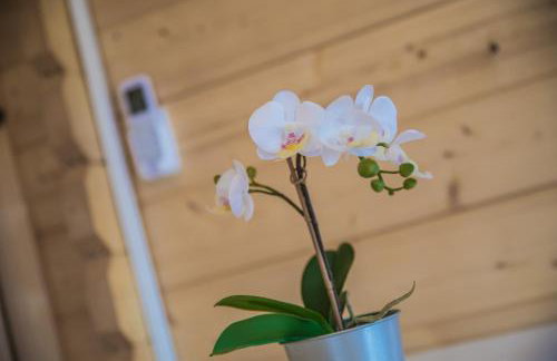 Słoneczny Ogród domki letniskowe Zator - Foto 31