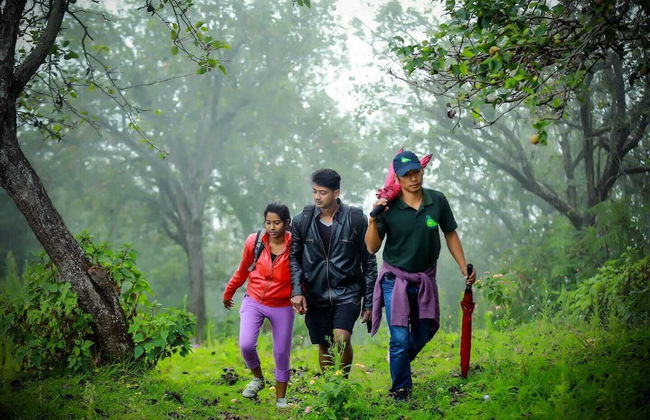 The Pear County - Foto 16