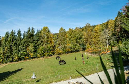 Fuchswiese - Photo 20