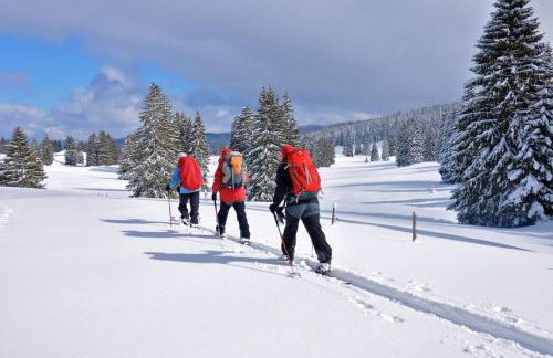 Appartement chaleureux familial - Foto 22